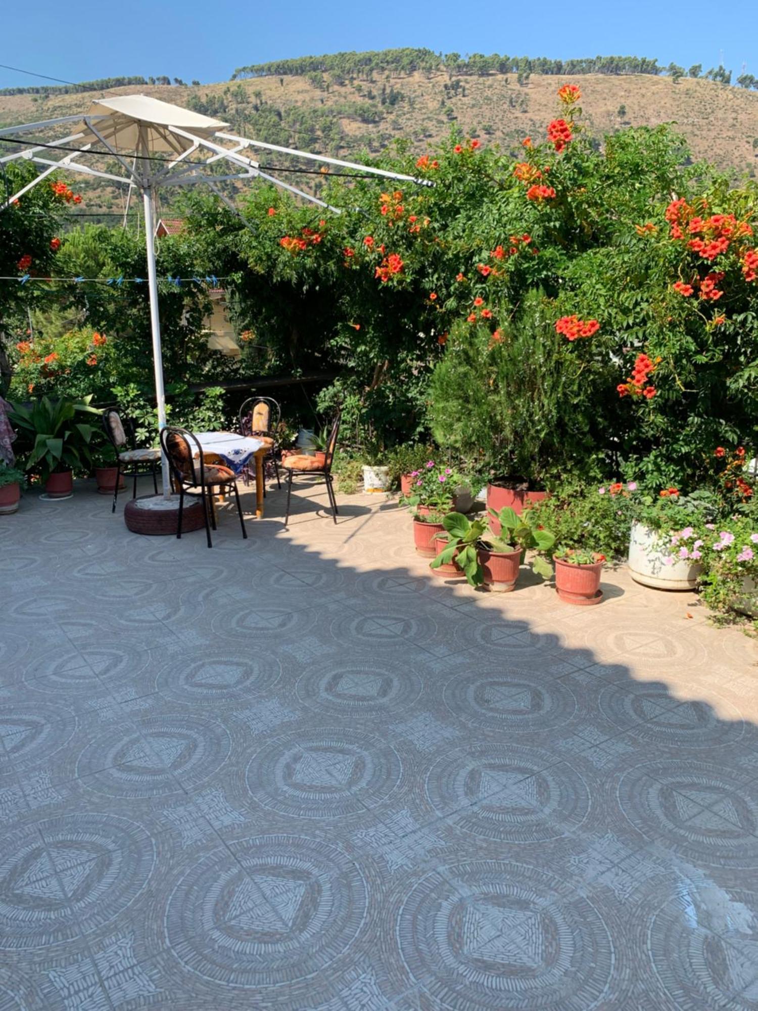 Guesthouse Katerina Berat Zewnętrze zdjęcie