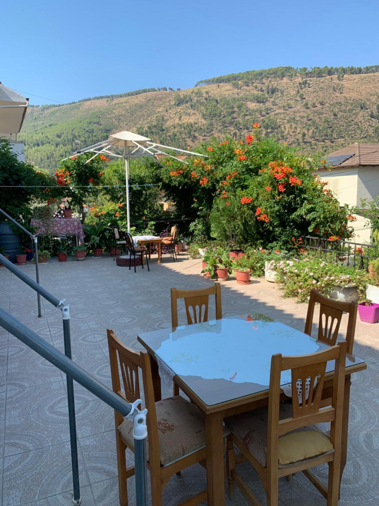 Guesthouse Katerina Berat Zewnętrze zdjęcie