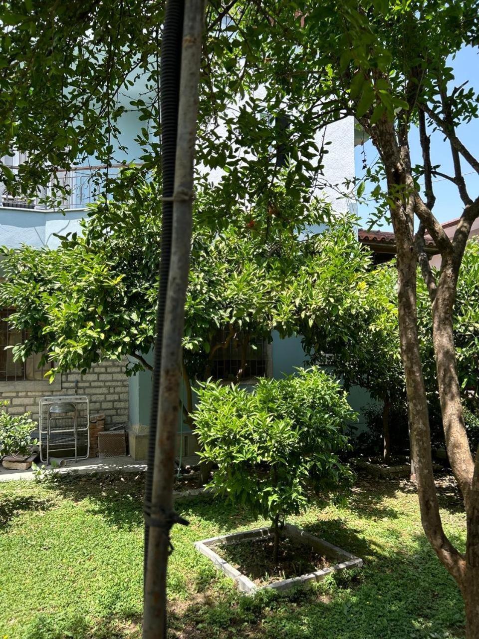 Guesthouse Katerina Berat Zewnętrze zdjęcie