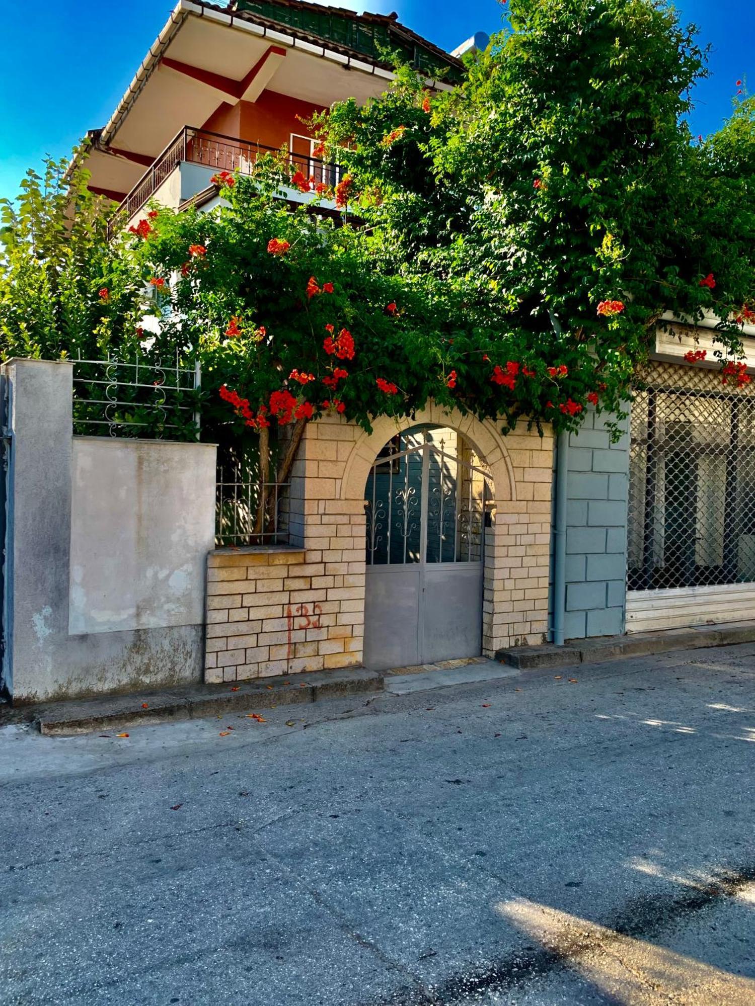 Guesthouse Katerina Berat Zewnętrze zdjęcie