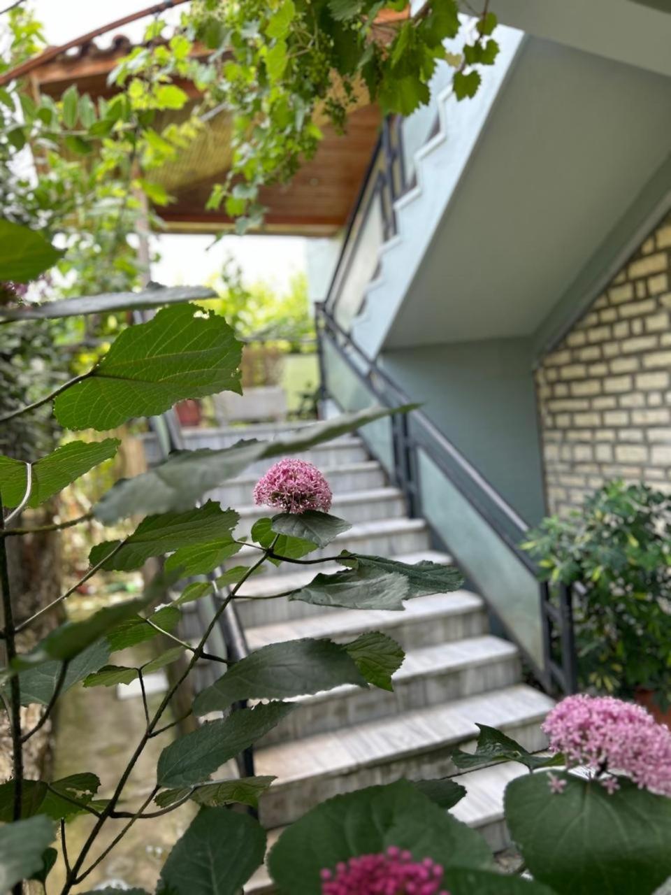 Guesthouse Katerina Berat Zewnętrze zdjęcie
