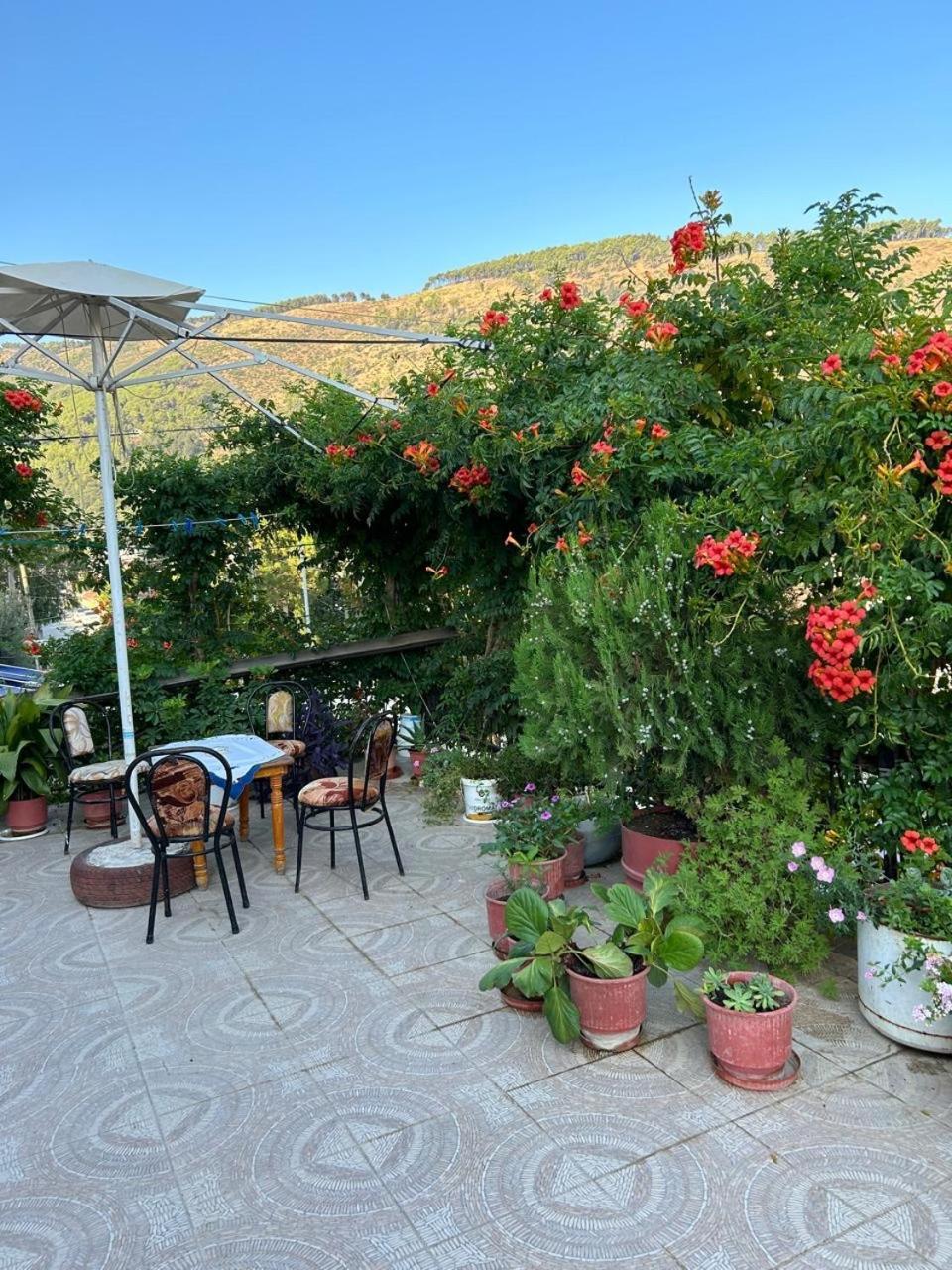 Guesthouse Katerina Berat Zewnętrze zdjęcie