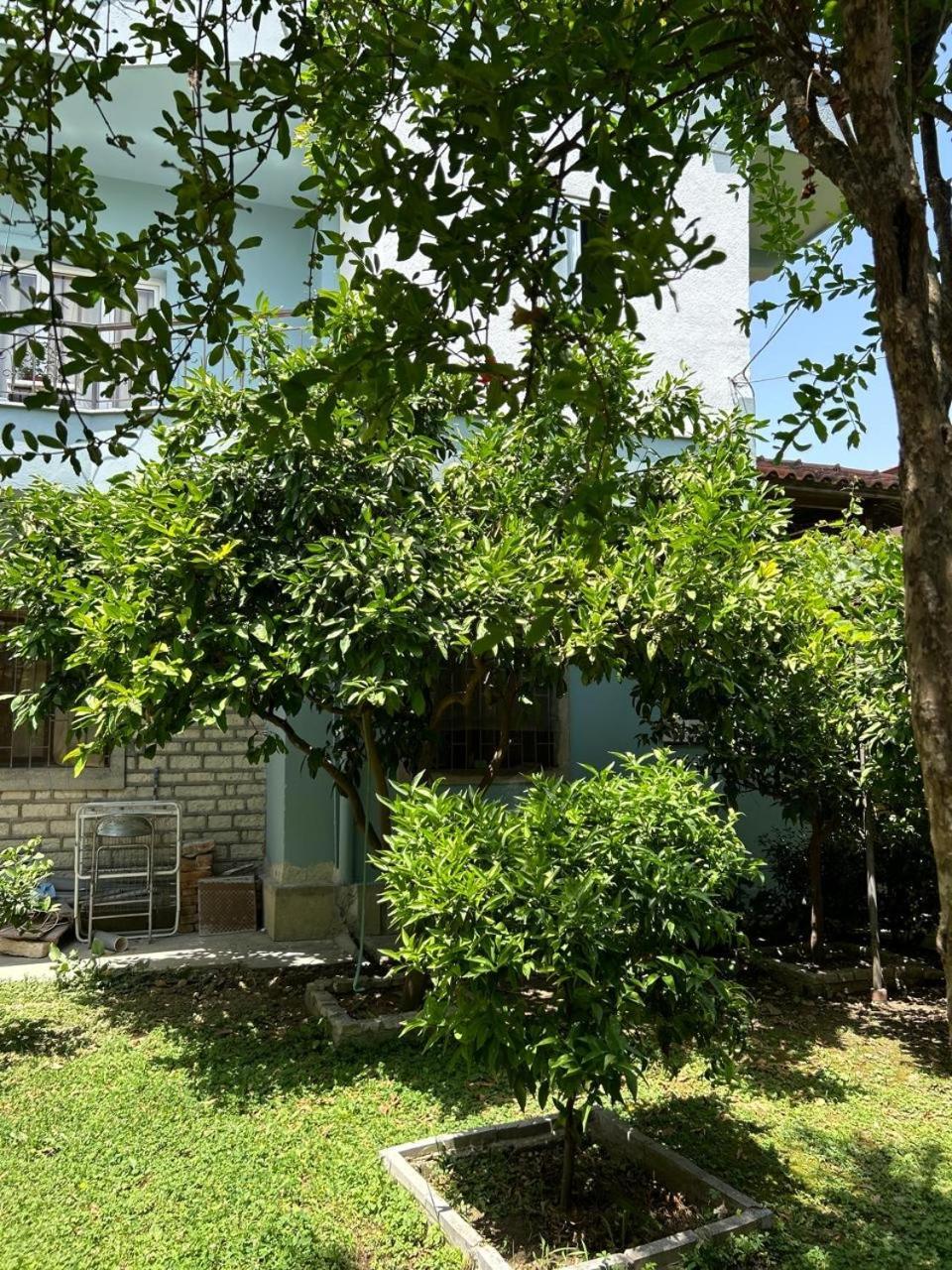 Guesthouse Katerina Berat Zewnętrze zdjęcie
